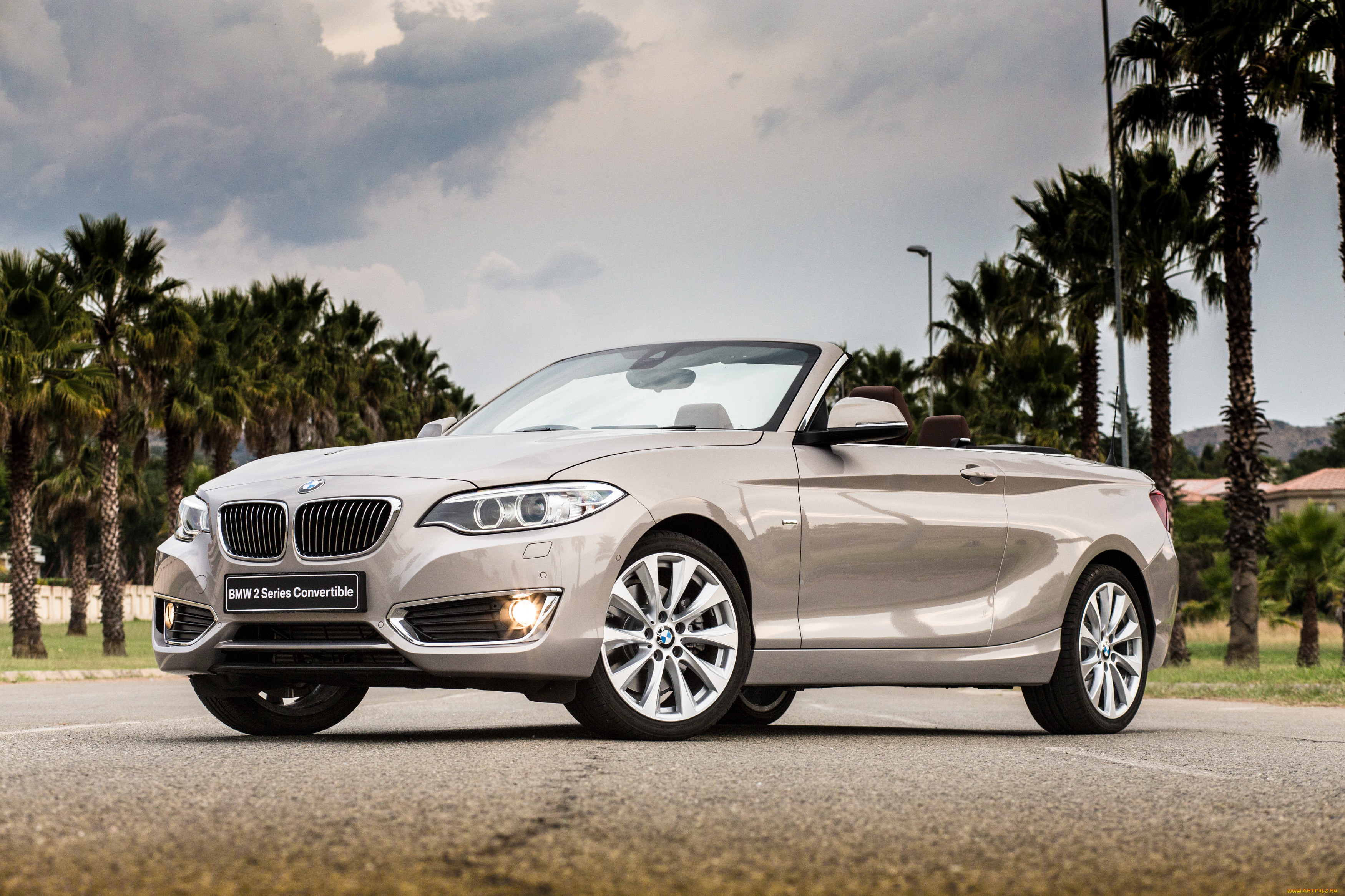 , bmw, luxury, cabrio, , 2015, f23, za-spec, line, 228i